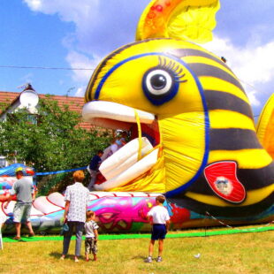 Trópusi hal csúszda